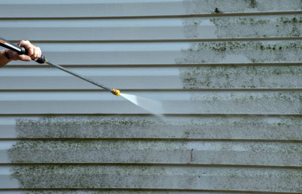 Best Post-Construction Pressure Washing  in Royal Oak, MI