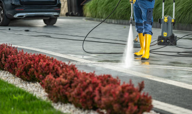 Best Post-Construction Pressure Washing  in Royal Oak, MI